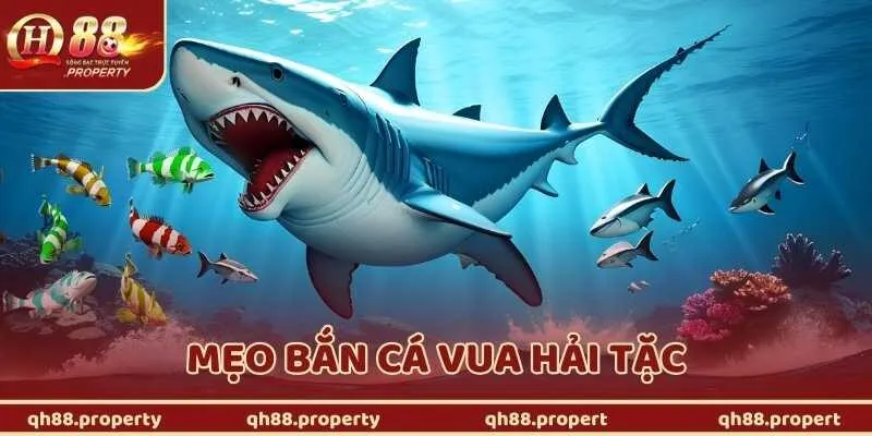 Mẹo Bắn Cá Vua Hải Tặc Cho Bạn Mới – Dễ Hiểu, Dễ Áp Dụng