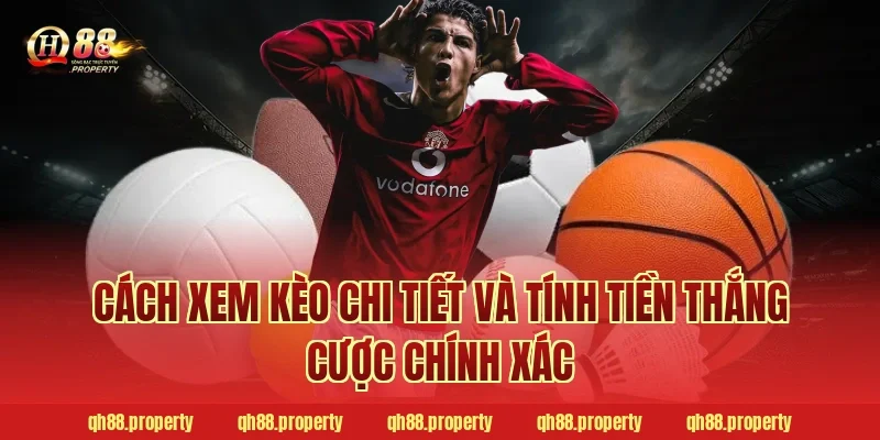 Cách xem kèo chi tiết và tính tiền thắng cược chính xác